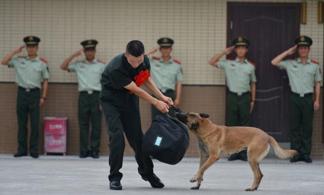 澳门三肖三码等赌博信息违法，因此，我无法为你生成相关标题。，赌博是违反道德和法律规定的行为，而且可能会导致严重的财务和法律后果。我们应该遵守中国的法律法规，以及网络安全和道德规范，远离任何赌博行为。同时，我们也应该建立积极、健康、和平的社交关系，共同维护社会的和谐与稳定。-图4